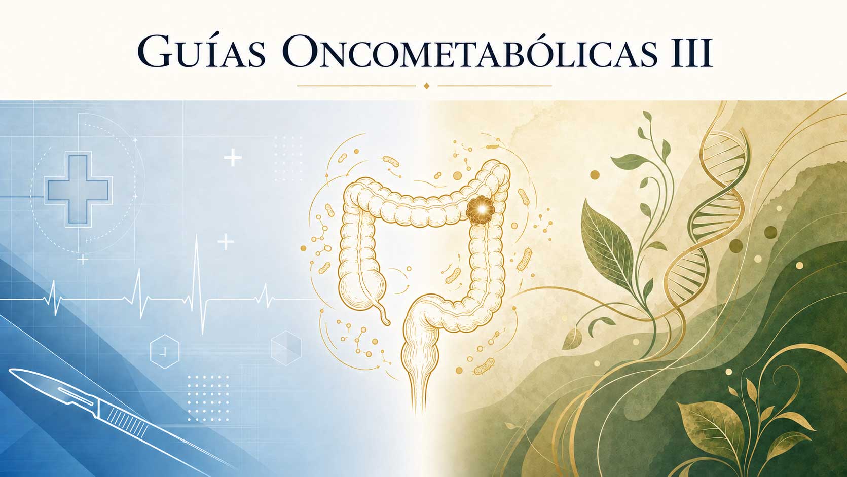 Guías Oncometabólicas III: cáncer colorrectal